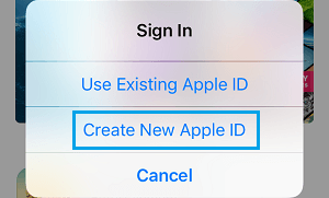 Create New Apple ID Option on iPhone