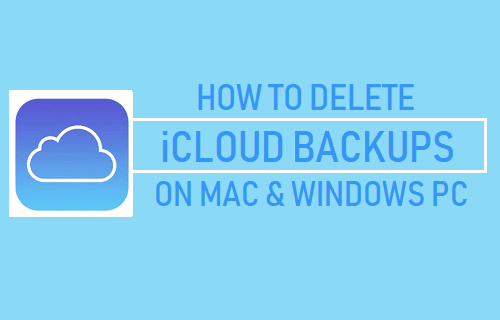 Delete iCloud Backups on Mac and Windows PC
