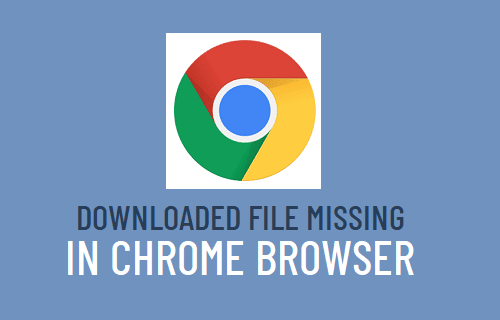 Downloaded File Missing in Chrome Browser