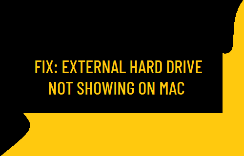 External Hard Drive Not Showing on Mac