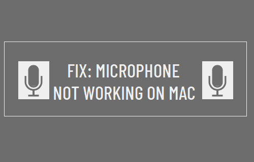 Microphone Not Working on Mac