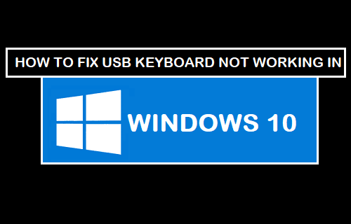 USB Keyboard Not Working in Windows