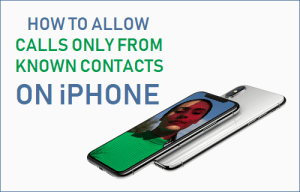 How to enable calls only from recognized contacts on iPhone - Mundobytes