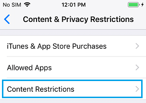 Opción de establecer restricciones de contenido en el iPhone