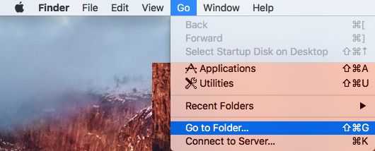 Go to Folder Option on Mac