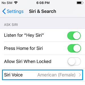 Siri Voice Option on iPhone