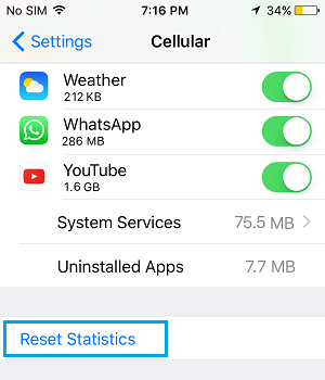 Reset Cellular Data Statistics on iPhone