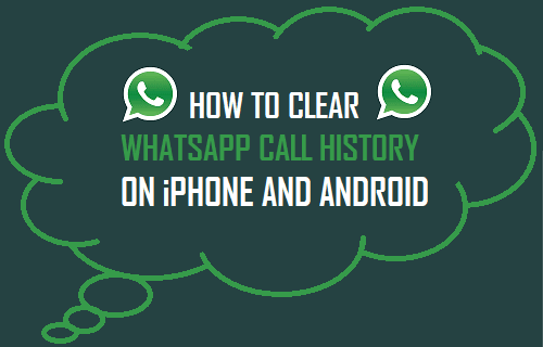 Clear WhatsApp Call History On iPhone and Android