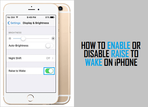 Enable or Disable Raise to Wake on iPhone