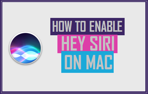 Enable Hey Siri On Mac