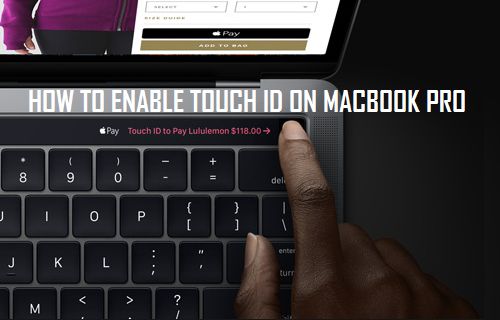 Enable Touch ID on MacBook Pro