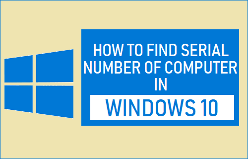 Find Serial Number of Computer in Windows 10