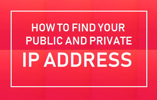 Find Your Public and Private IP Address