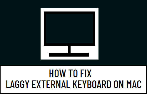 Fix Slow or Laggy Keyboard on Mac