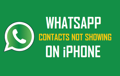 WhatsApp Contacts Not Showing On iPhone