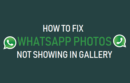 Fix WhatsApp Photos Not Showing in Gallery