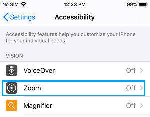 Opción para configurar el zoom de accesibilidad en el iPhone