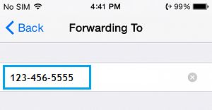 Call Forwarding To Number on iPhone