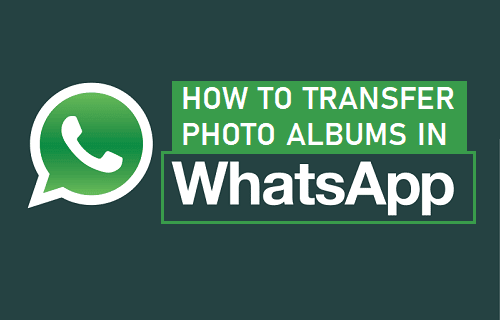 Forward Photo Album in WhatsApp iPhone and Android