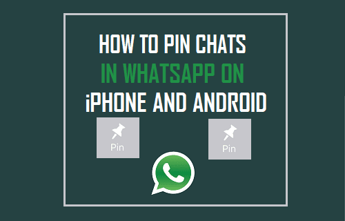 Pin Chats in WhatsApp On iPhone and Android