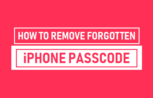 Remove Forgotten iPhone Passcode