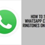 The best way to Set WhatsApp Customized Ringtones on iPhone