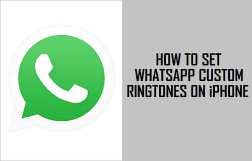 WhatsApp Custom Ringtones on iPhone