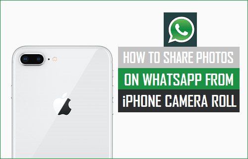 Share Photos On WhatsApp From iPhone Camera Roll