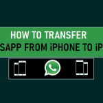 Transfer WhatsApp From iPhone to iPhone