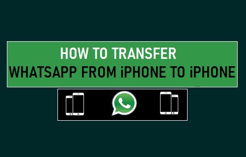Transfer WhatsApp From iPhone to iPhone