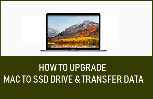 Upgrade Mac to SSD Drive and Transfer Data