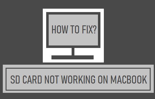 SD Card Not Working on MacBook