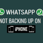 WhatsApp Not Backing Up on iPhone:  Repair?
