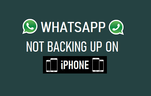 WhatsApp Not Backing Up on iPhone