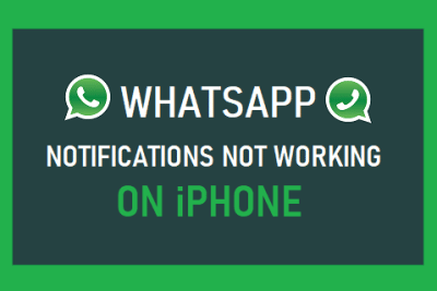 WhatsApp Notifications Not Working on iPhone