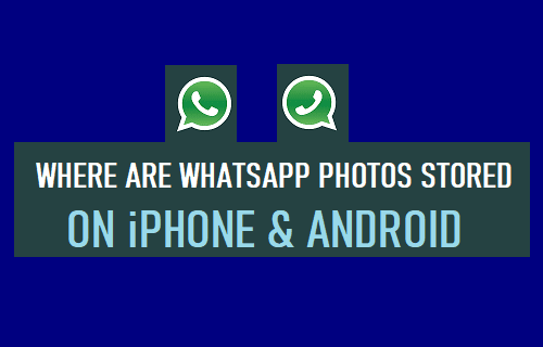 2023-how-to-find-whatsapp-folder-on-android-and-iphone