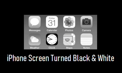 iPhone Screen Turned Black and White