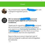 ¿Qué puedes hacer si un usuario de Instagram te ha denunciado?