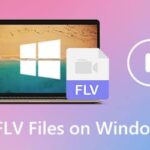 Archivos Flv de Windows 10: ¿Qué puedes hacer?