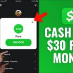 ¿Cómo consigo los 30 $ de la aplicación Dinero?