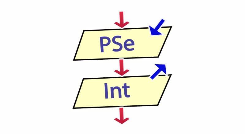 Qué es Pseint