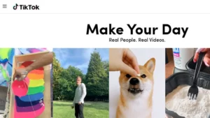 Cómo usar TikTok desde tu PC-4