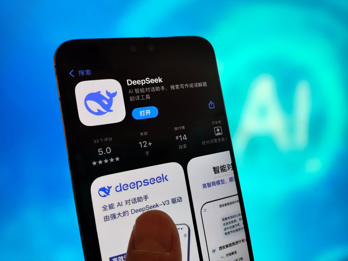 deepseek-2