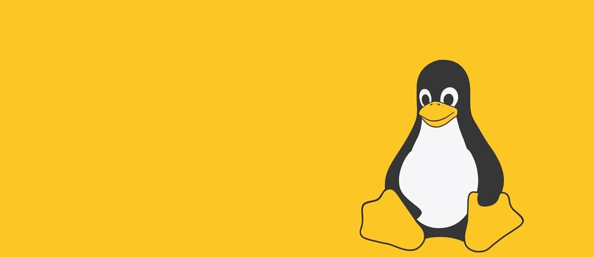 Soporte de hardware en Linux 6.14