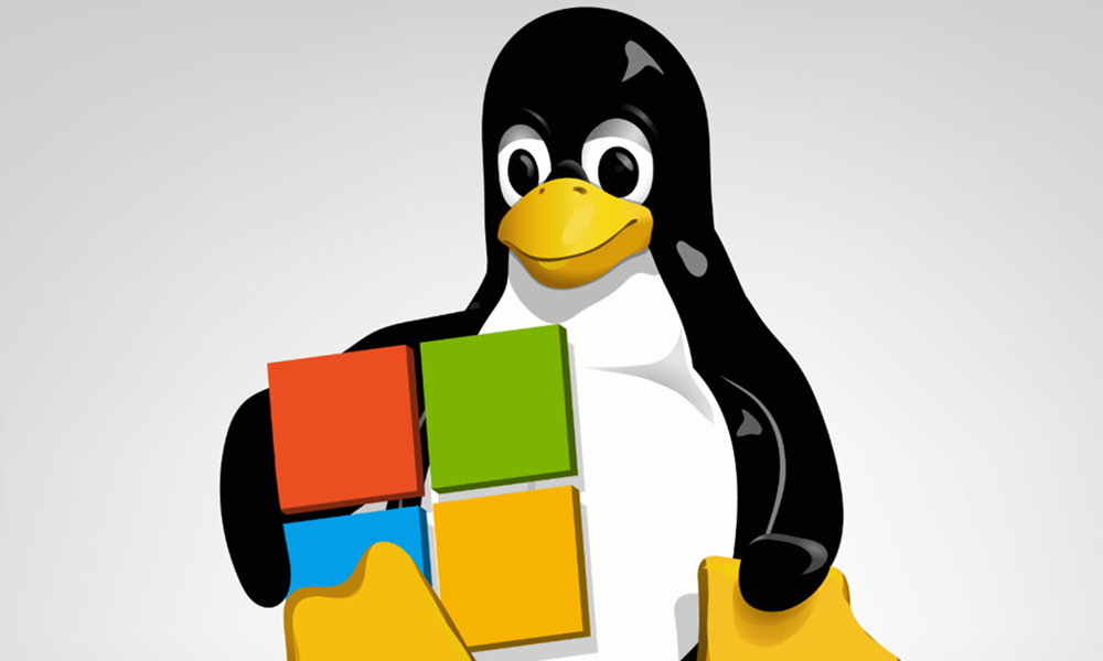 cómo configurar WSL2 con un kernel Linux personalizado y red-2