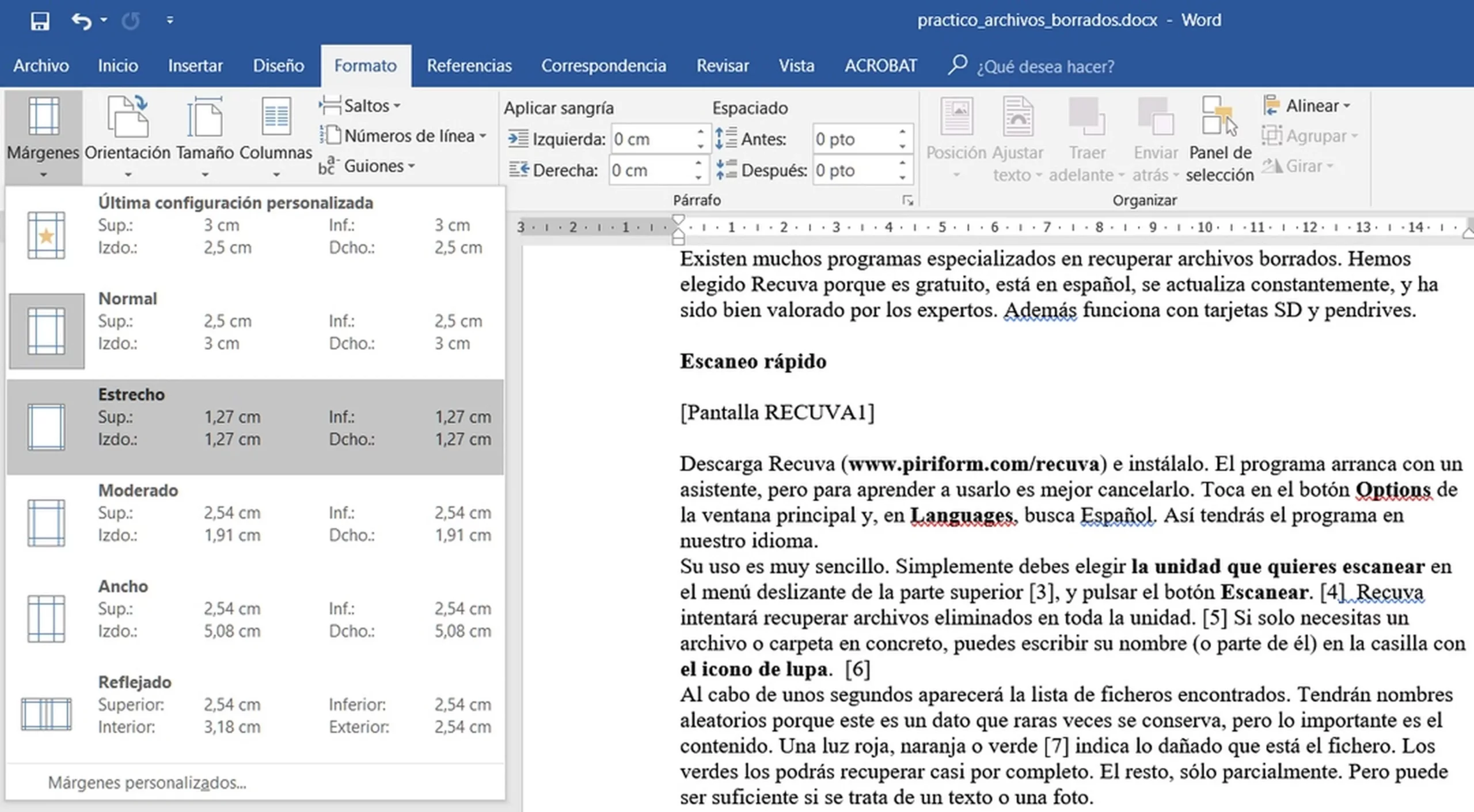 formato word