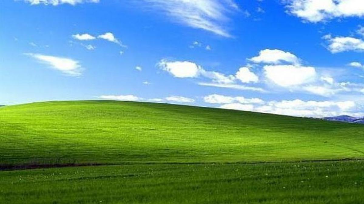 colina verde de Windows XP Bliss