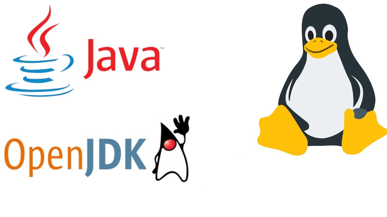 java linux