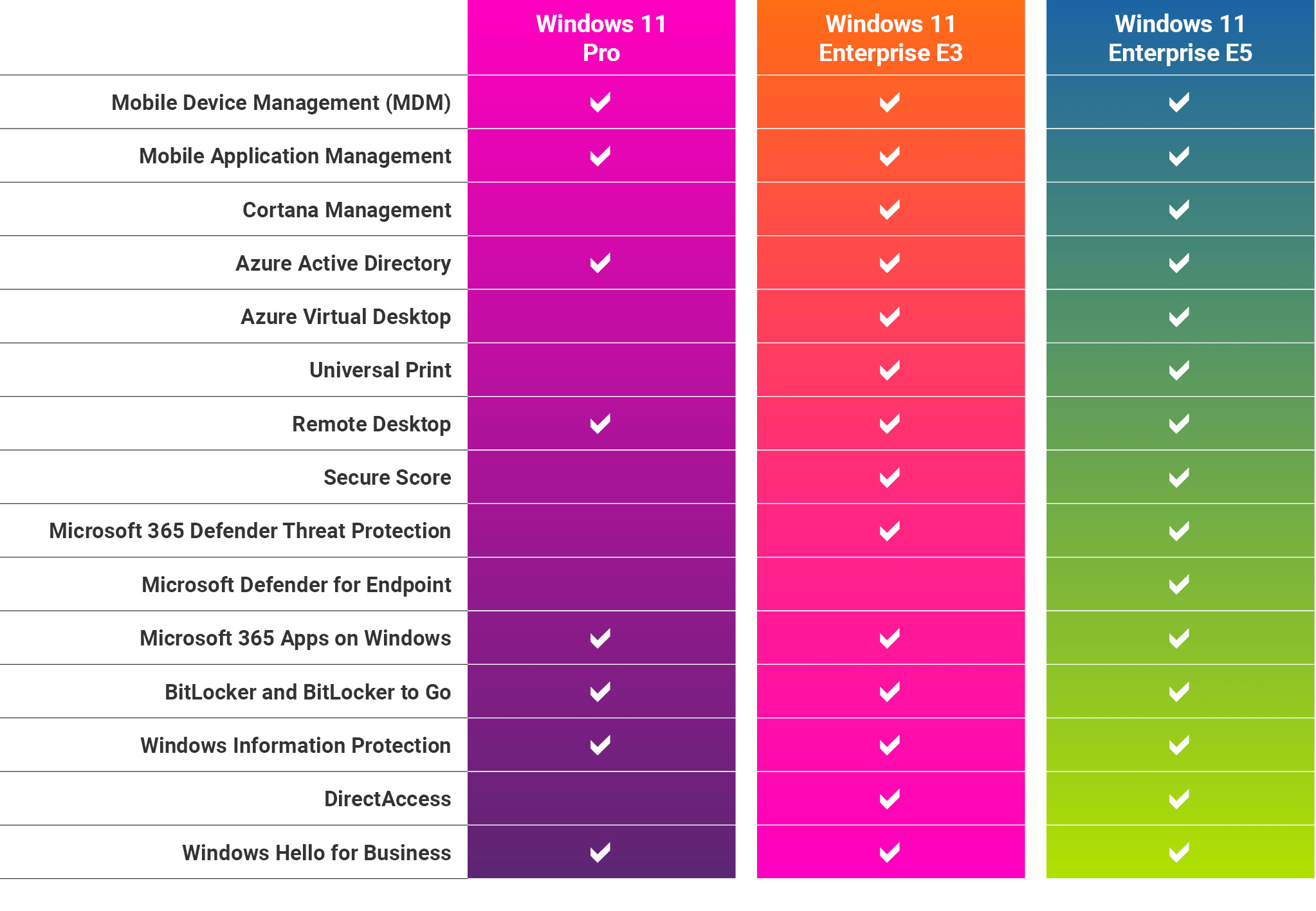 windows 11 enterprise características