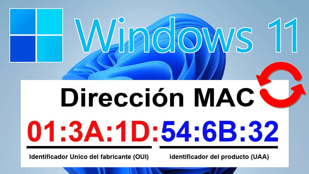 Cambiar la dirección MAC en Windows 11